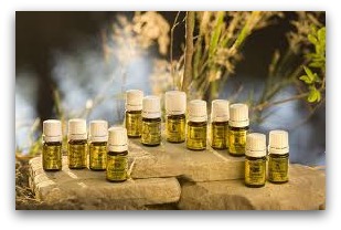 12ancientoils 12ancientoils 12 Oils of The Bible