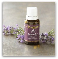 lavender2 295x300 9 Everyday Oils Collection