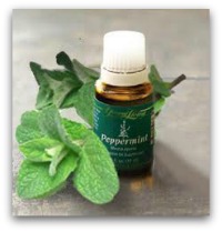 peppermintessentialoil 9 Everyday Oils Collection