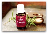 purification2 9 Everyday Oils Collection