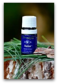 valoressentialoil1 9 Everyday Oils Collection