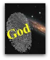 fingerprintofgod Become A Trophy for God