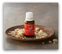 frankensense1 The Secret of Frankincense Oil