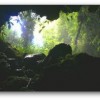 gettingoutofthecave1
