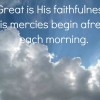 havemercytekst havemercytekst