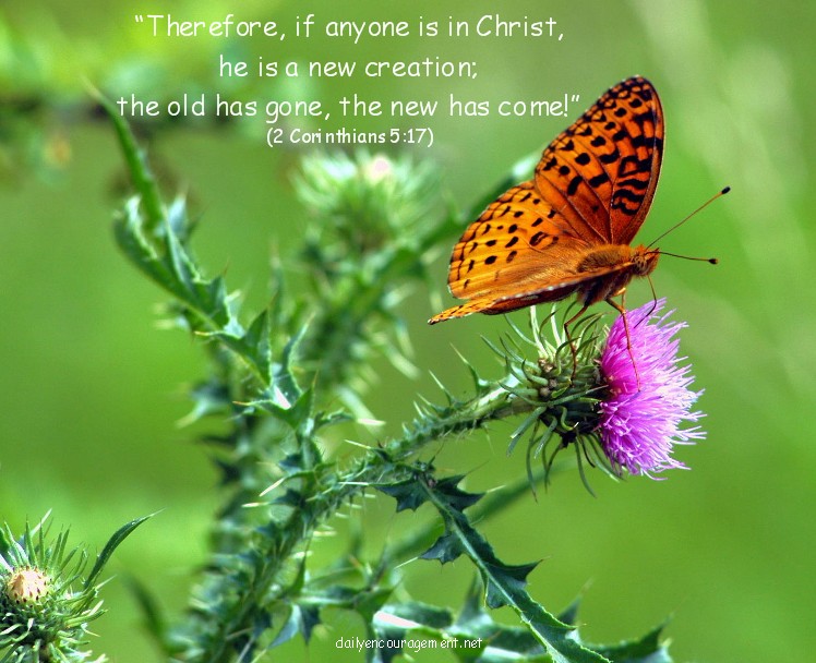 The Bible tells me I am a New Creation; how can that be?